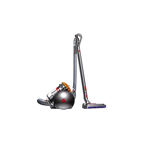 Aspirateur Dyson big ball allergy 2