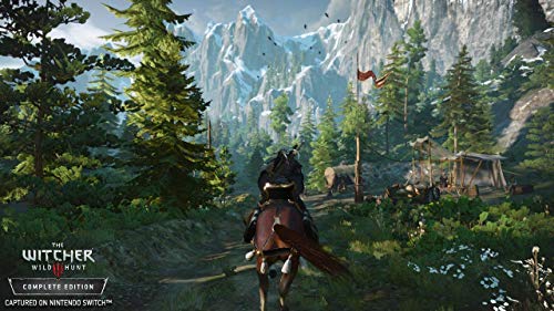 Jeu vidéo The Witcher 3